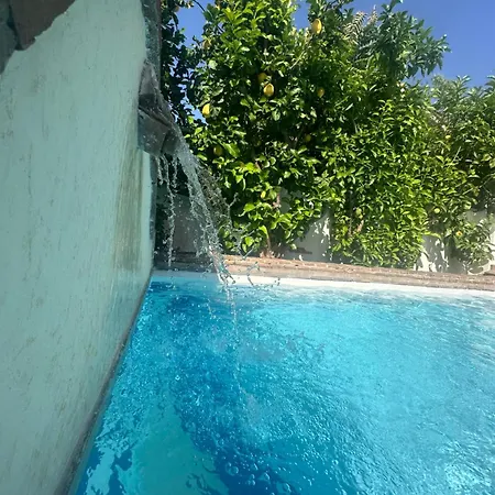 Yellow House * צ'יאמפינו